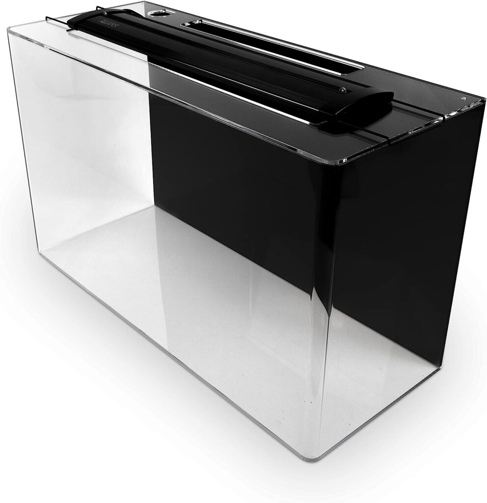 Pros and Cons of Acrylic Tanks