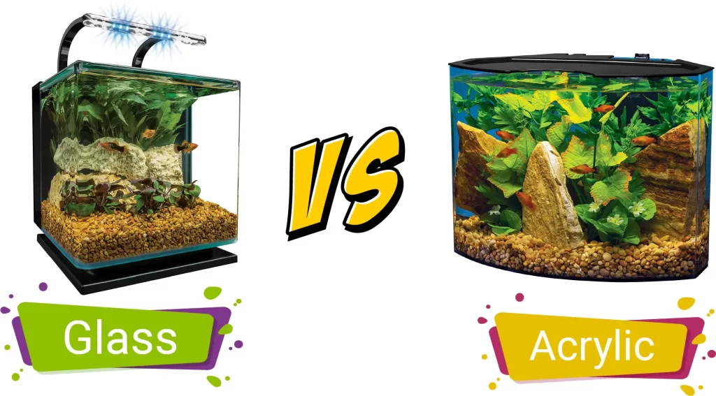 Glass vs. Acrylic