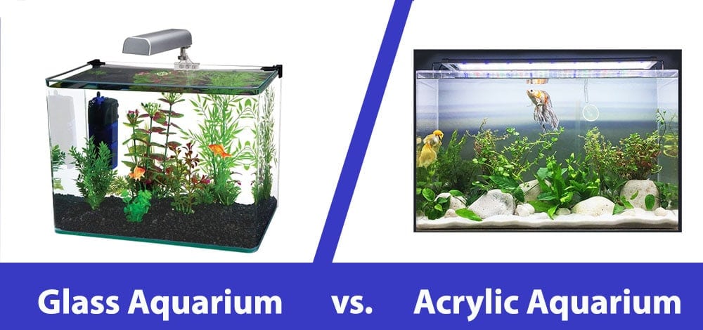 The Big Debate: Glass vs. Acrylic